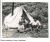 Sheep Camp